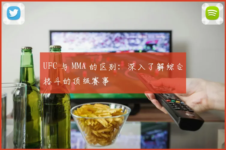 UFC 与 MMA 的区别：深入了解综合格斗的顶级赛事