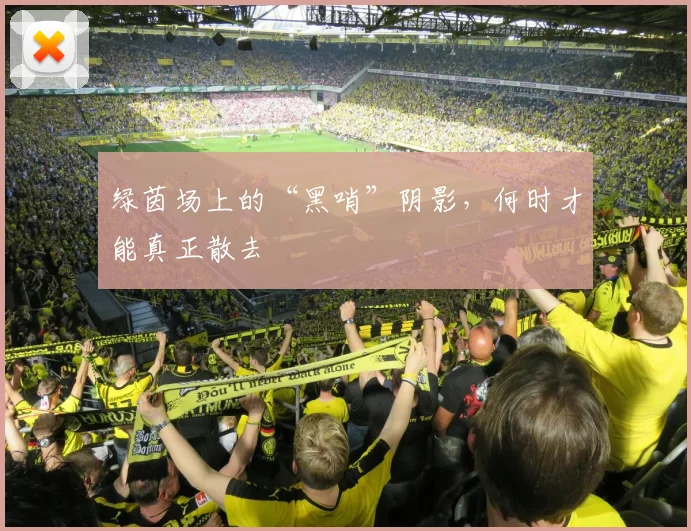 绿茵场上的“黑哨”阴影,何时才能真正散去